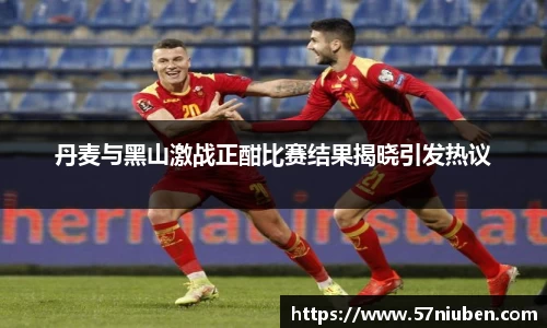 丹麦与黑山激战正酣比赛结果揭晓引发热议