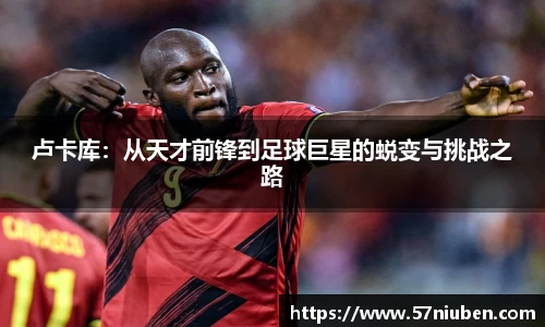 卢卡库：从天才前锋到足球巨星的蜕变与挑战之路