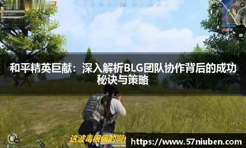 和平精英巨献：深入解析BLG团队协作背后的成功秘诀与策略
