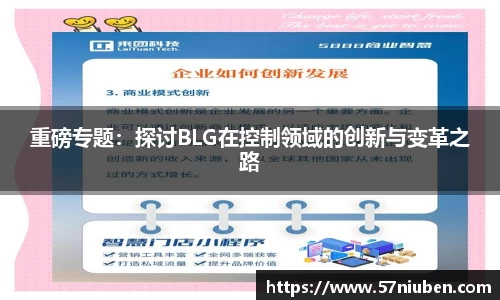 重磅专题：探讨BLG在控制领域的创新与变革之路